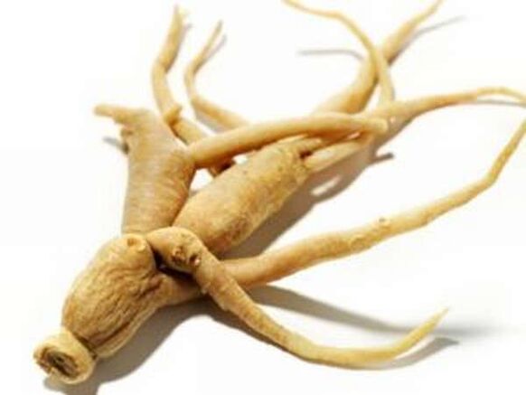 Rădăcină de ginseng