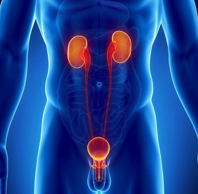 ce boli cronice pot afecta potența masculină